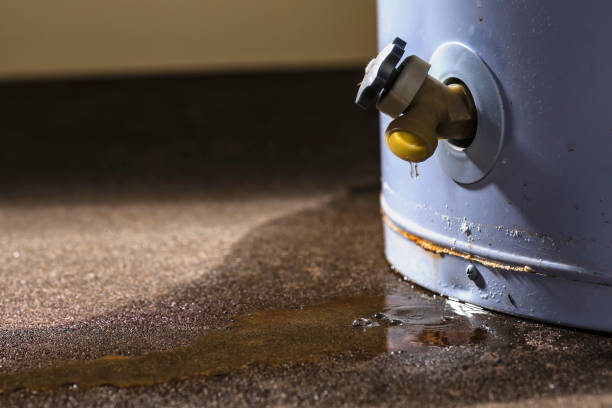 Best Water damage contractors near me  in Broad Brook, CT