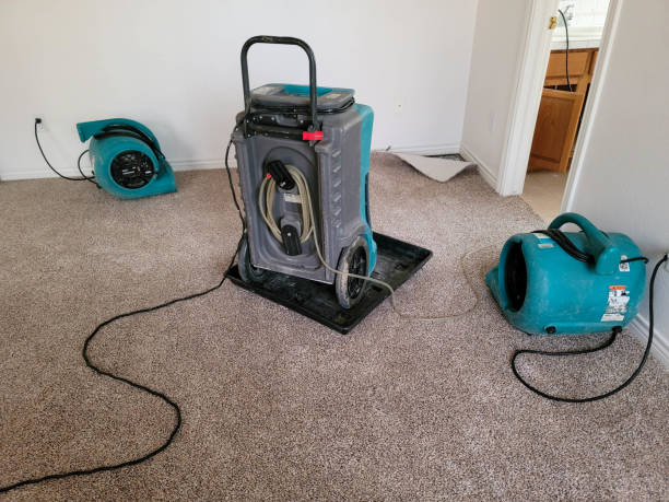 Fire Damage Restoration in Broad Brook, CT