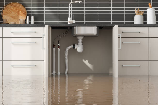 Best Flood restoration services  in Broad Brook, CT