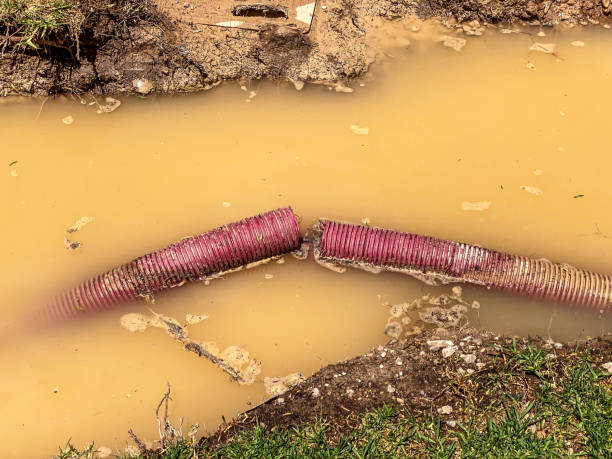 Best Water damage restoration company  in Broad Brook, CT